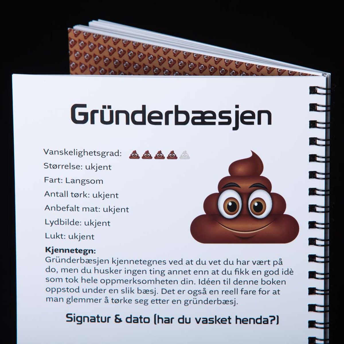 Hyttebæsjen - Hytteboken 